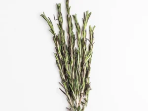 Tarragon