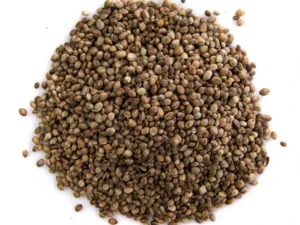 Coriander Seed
