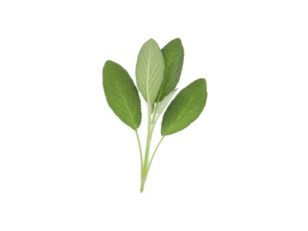 Sage Powder