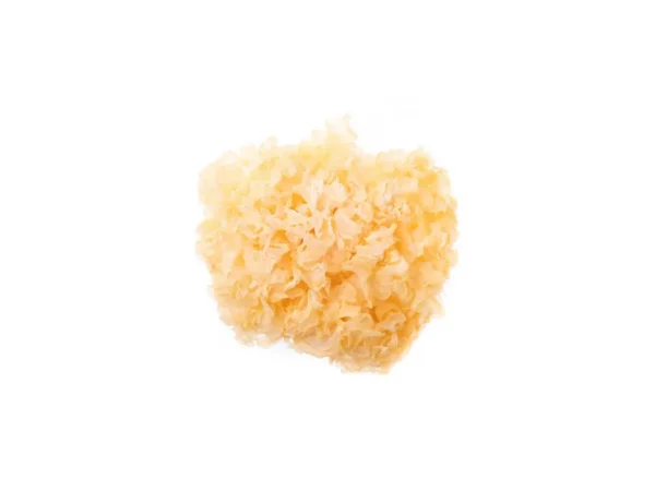 White Jelly Mushroom